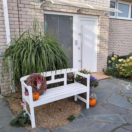 Mohnblume Mueddersheim *