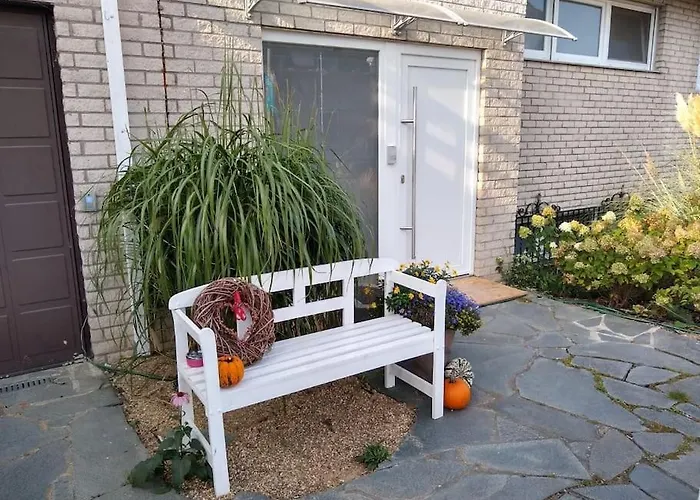 Mohnblume Mueddersheim *